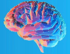 /pliki/zdjecia/mo3 (1).jpg